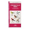 Connecticut Birds: An Introduction to Familiar Species (State Nature Guides)