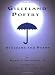 Image of Gilleland Poetry: Storoems and Poems