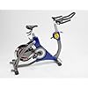 Golden Designs MAXXUS SPK-23 Maxxus Pro Racing SERIES-SPK