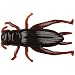Gulp Alive Cricket Fishing Bait