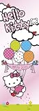 The Official Hello Kitty 2011 Slim Calendar