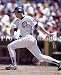 Ryne Sandberg Chicago Cubs 8x10 Photo