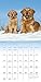 Golden Retrievers 2017 Calendar: Includes Downloadable Wallpaper