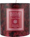 Archipelago Botanicals Excursion Collection Candle Pillar ( 3.5 in L x 3.5 in W )