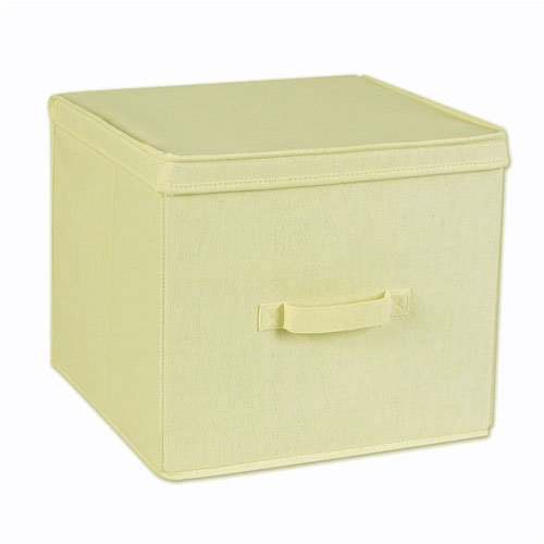 Large Canvas Storage Box with Flap Lid