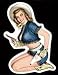 Sexy Cheesecake Pin-up Cowgirl Cutie Collectible Air Freshener/Review Mirror Ornament