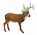 Hunter Dan Wooden Bridge Ten Point Whitetail Deer