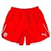 Puma Shorts Speed mit Innenslip