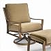 Granville Swivel Rocking Lounge Chair with Cushions Finish: Tuscan Sand, Fabric: Black