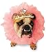 Zelda Queen Pet Small Costume