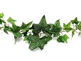 6 Foot Artificial Silk Flocked Ivy Garland