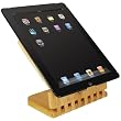 Macally ECOSTAND2 Case for iPad 2