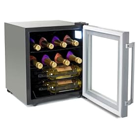 PROFESSIONAL WINE CABINET 2012 MODEL