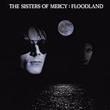 Floodland