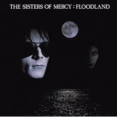 Floodland
