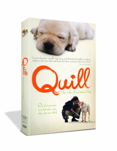 41Ns6yutZUL Quill: The Life of a Guide Dog