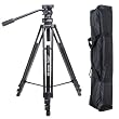 Davis & Sanford PROVISTA7518XB Provista Tripod with FM18 Head