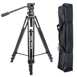 Davis & Sanford PROVISTA7518XB Provista Tripod with FM18 Head
