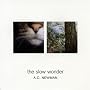 The Slow Wonder