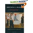 Birthing a Slave: Motherhood and Medicine in the Antebellum South by Marie Jenkins Schwartz