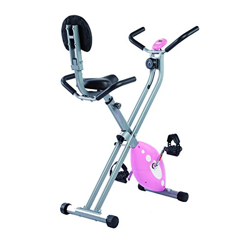 Sunny Health & Fitness Folding Recumbent Bike