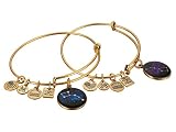 Alex and Ani Big and Little Dipper Expandable Rafaelian Gold Bangle Bracelet