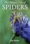 The Private Life of Spiders