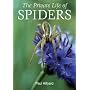 The Private Life of Spiders