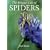 The Private Life of Spiders