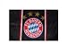 FC Bayern München Fahne 