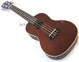Lanikai Acoustic Electric Concert Ukulele - LU-21CE