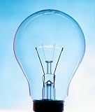 Replacement Bulb 25 Watt for Full Size Warmer