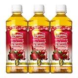 リプトン　ヘルシースタイルティー/ミックスベリー&ローズヒップ500ml/24本入×2箱/合計48本/サントリー