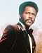 RICHARD ROUNDTREE 11X14 COLOR PHOTO