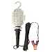 Coleman Cable 5914-89-08 20-Feet Clip light with Plastic Guard