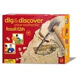 Fossil Fish