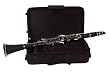 Palatino B-Flat Clarinet with feathweight case