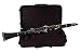 Palatino B-Flat Clarinet with feathweight case