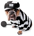 Zelda Prisoner Pet Halloween Costume in Small, Medium or Large