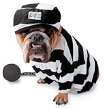 Toys : Costumes For All Occasions PM858007 Zelda Prisoner Pet Medium