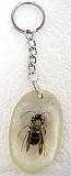 Yellow Jacket Oval Lucite Key Chain Wasp Real Insect