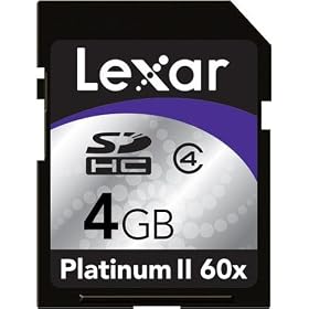 Lexar 4 GB Platinum II 60x Secure Digital High Capacity Card, LSD4GBBSBNA060 41Nu45GsAbL. SL500 AA280 Lexar 4 GB Platinum II 60x Secure Digital High Capacity Card, LSD4GBBSBNA060