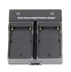 ual Channel Digital Battery Charger for Sony C