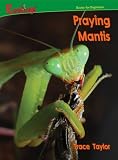 Praying Mantis (Bugs)