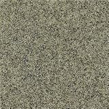 Fritztile Granite Tile Mount Airy 12 x 12 Granite Tile