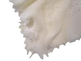 Wool Shawl One Size Ivory