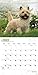 Cairn Terriers 2014 18 Month Calendar