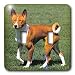 Dogs Basenji - Basenji - Light Switch Covers - double toggle switch