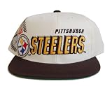 Pittsburgh Steelers 2009 Coach