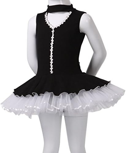 RedRain Girl's Turtleneck Keyhole Back Tulle Ballet Tutu Dress